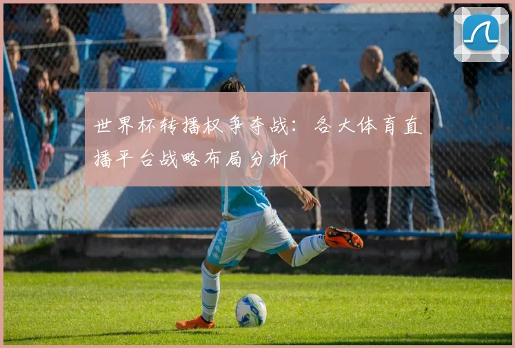 世界杯转播权争夺战：各大体育直播平台战略布局分析